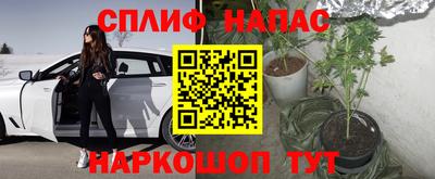 твердый Тара