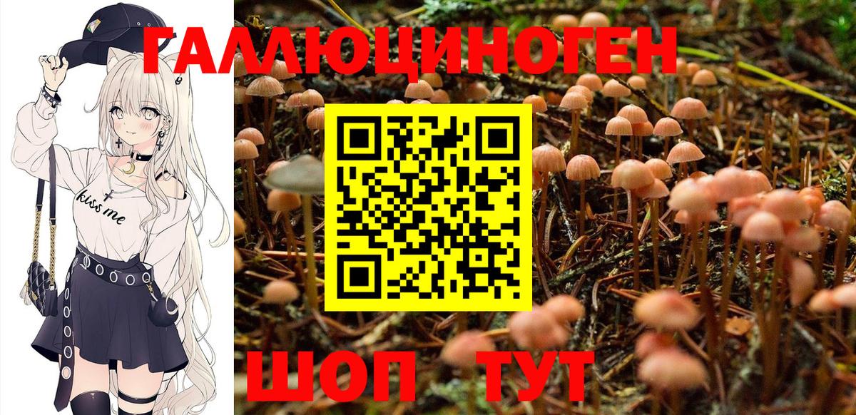 Галлюциногенные грибы ЛСД Курган
