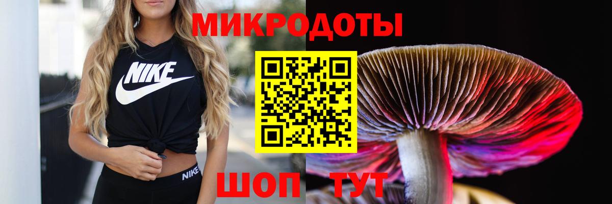 Курган  Галлюциногенные грибы прущие грибы  Вход с VPN 